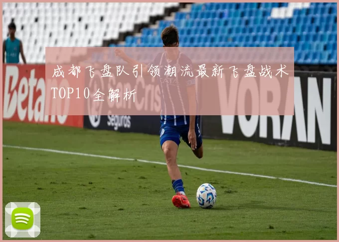 成都飞盘队引领潮流最新飞盘战术TOP10全解析