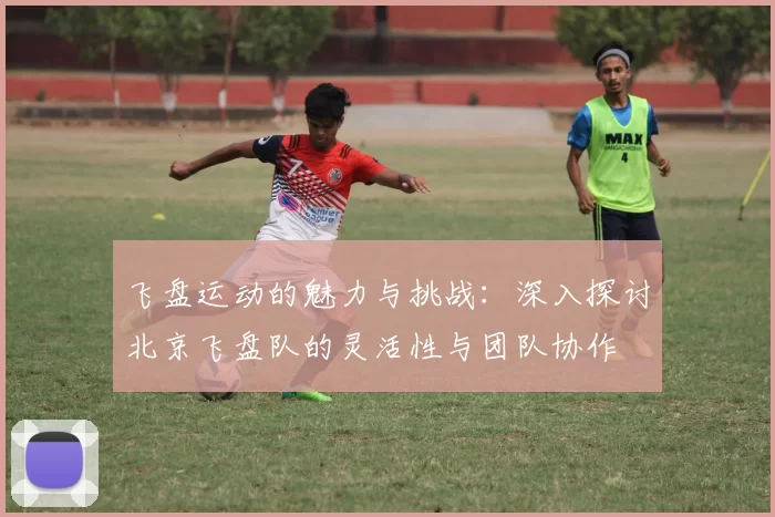 飞盘运动的魅力与挑战：深入探讨北京飞盘队的灵活性与团队协作