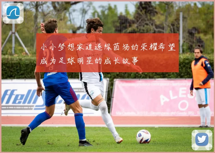 小小梦想家追逐绿茵场的荣耀希望成为足球明星的成长故事