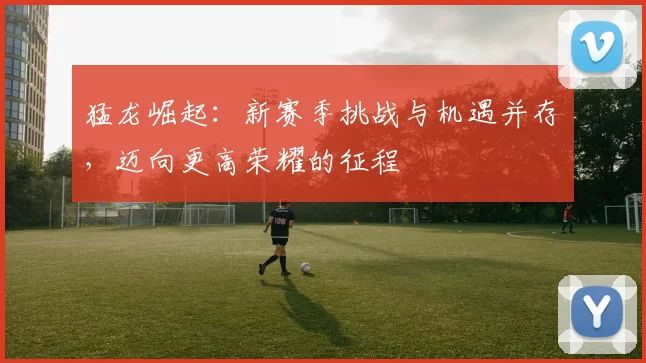 猛龙崛起：新赛季挑战与机遇并存，迈向更高荣耀的征程