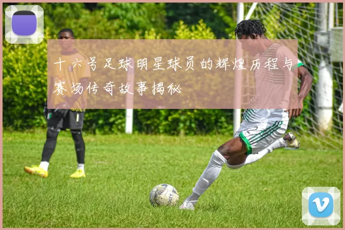 十六号足球明星球员的辉煌历程与赛场传奇故事揭秘