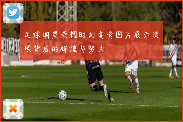 足球明星荣耀时刻高清图片展示奖项背后的辉煌与努力