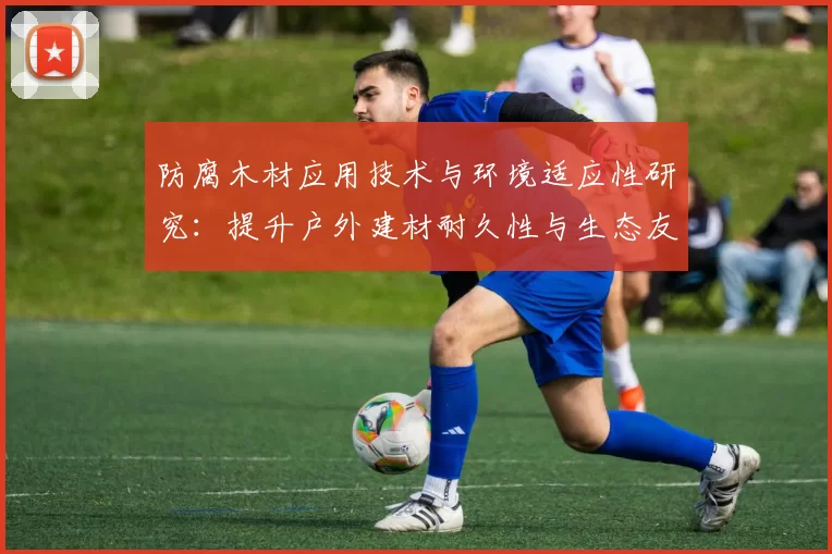 防腐木材应用技术与环境适应性研究：提升户外建材耐久性与生态友好性