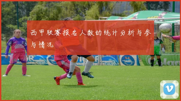 西甲联赛报名人数的统计分析与参与情况
