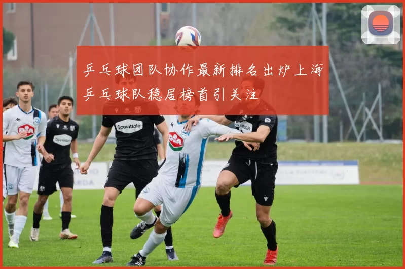 乒乓球团队协作最新排名出炉上海乒乓球队稳居榜首引关注