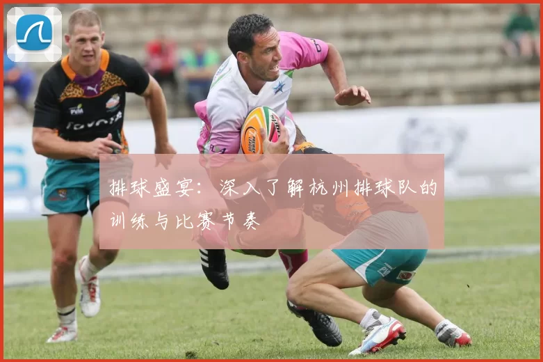 排球盛宴：深入了解杭州排球队的训练与比赛节奏
