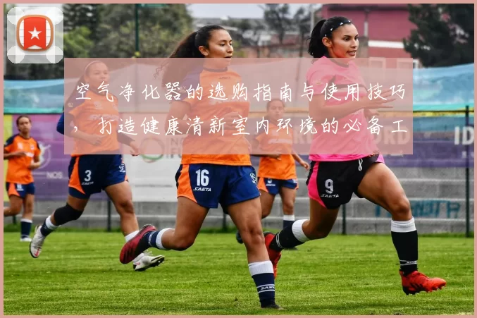 空气净化器的选购指南与使用技巧，打造健康清新室内环境的必备工具